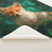 赤キツネ シェルパブランケット (3/4)