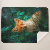 赤キツネ シェルパブランケット (正面(横))