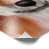 赤キツネ フォトプリント            (角)