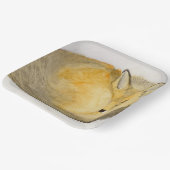 赤キツネ ペーパープレート (傾斜あり)