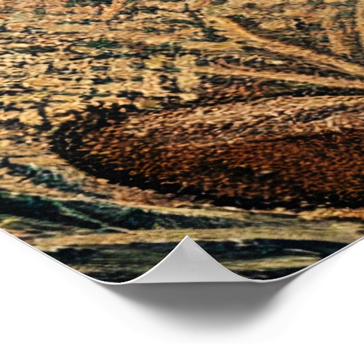 赤キツネ ポスター (角)