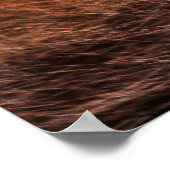 赤キツネ ポスター (角)