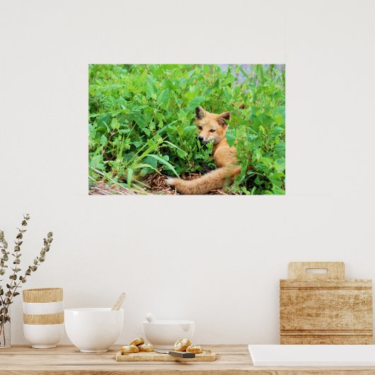 赤キツネ ポスター (キッチン)