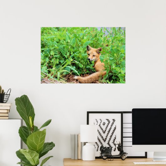 赤キツネ ポスター (ホームオフィス)