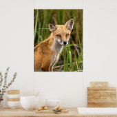 赤キツネ ポスター (キッチン)