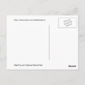 赤キツネ ポストカード (裏面)