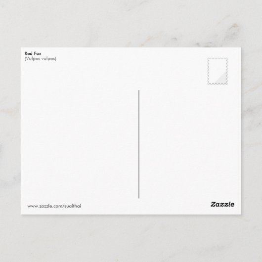 赤キツネ ポストカード (裏面)