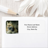 赤キツネ ラベル (インサイチュ)