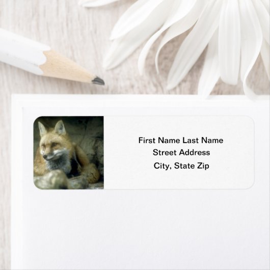 赤キツネ ラベル (インサイチュ)