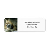 赤キツネ ラベル (正面)