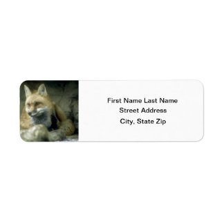 赤キツネ ラベル