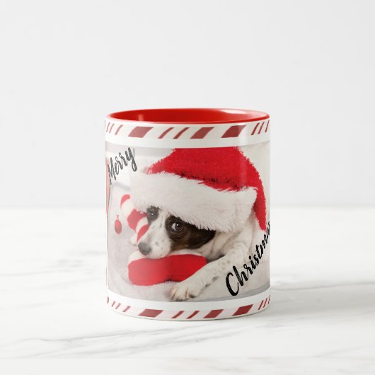 赤キャンディストライプーの子犬の写真 ツートーンマグカップ (中央)