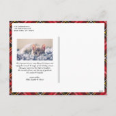 赤クラシックタータンチェック格子模様 シーズンポストカード (裏面)