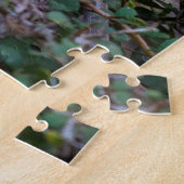 赤クリムゾンロセラ食べバードの1014ピース ジグソーパズル (側面)