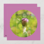 赤クローバーフラワーオンマゼンタ シーズンカード (正面/裏面)