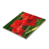 赤グラジオラス タイル (側面)