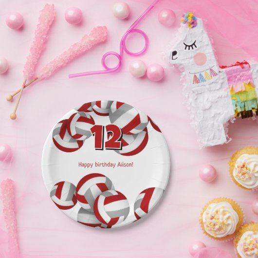 赤グレーバレーボール女子の男の子誕生日パーティー ペーパープレート (パーティー)