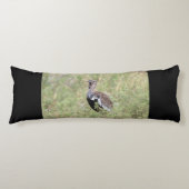 赤コルハーン ボディピロー (正面)