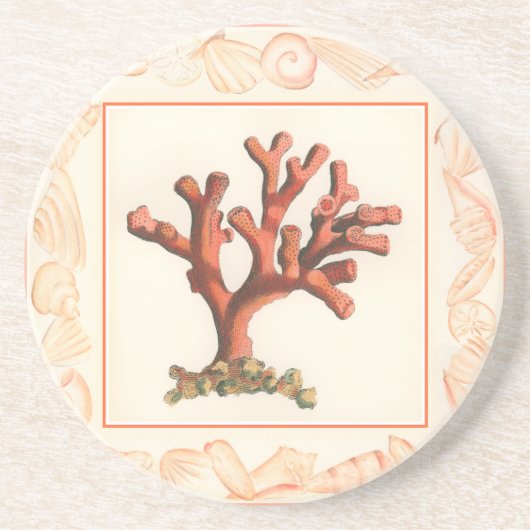 赤サンゴ貝縁ど殻 コースター (正面)