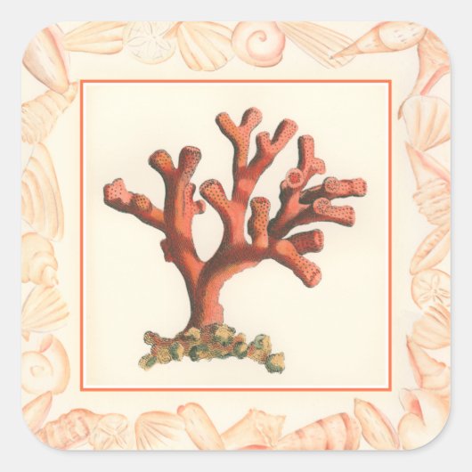 赤サンゴ貝縁ど殻 スクエアシール (正面)