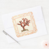 赤サンゴ貝縁ど殻 スクエアシール (封筒)