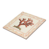 赤サンゴ貝縁ど殻 タイル (側面)