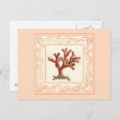 赤サンゴ貝縁ど殻 ポストカード (正面/裏面)