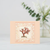 赤サンゴ貝縁ど殻 ポストカード (スタンド正面)