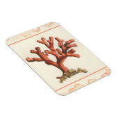 赤サンゴ貝縁ど殻 マグネット (右側)