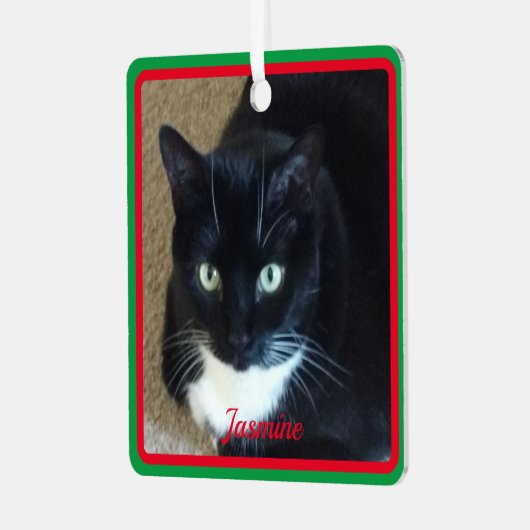 赤シンプル緑の縁どペットの写真と名前 メタルオーナメント (正面左)