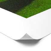 赤スイス牛 ポスター (角)