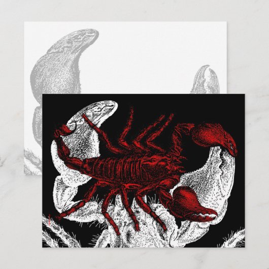 赤スコーピオン – はがき (正面/裏面)