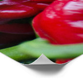 赤スペインの唐辛子 ポスター (角)