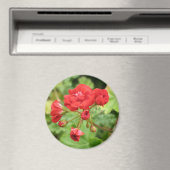 赤ゼラニウム磁石 マグネット (インサイチュ (食洗機))