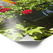 赤ゼラニウム花ウィンドウボックス フォトプリント            (角)