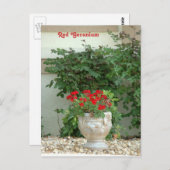 赤ゼラニウム葉書 ポストカード (正面/裏面)