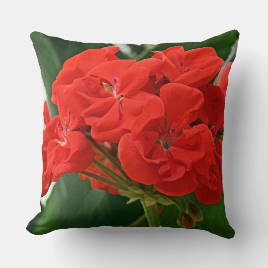 赤ゼラニウム クッション (正面)