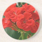 赤ゼラニウム コースター (正面)