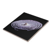 赤タマネギポートレート タイル (側面)