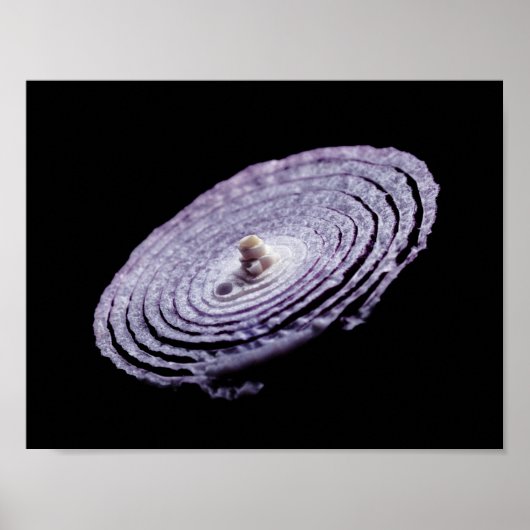 赤タマネギポートレート ポスター (正面)