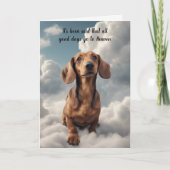 赤ダシュンドドッグ天国同情カードの損失 シーズンカード (正面)