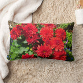 赤ダリア花枕 ランバークッション (ブランケット)