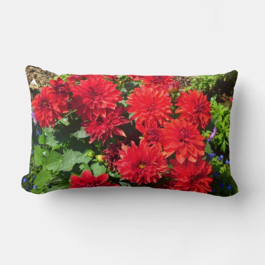 赤ダリア花枕 ランバークッション (正面)