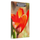 赤チューリップの花 クリップボード (右)