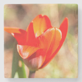 赤チューリップの花 ストーンコースター