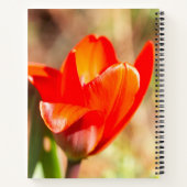 赤チューリップの花 ノートブック (裏面)
