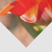 赤チューリップの花 薄葉紙 (詳細)