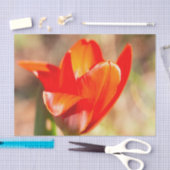 赤チューリップの花 薄葉紙 (クラフト)