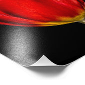 赤チューリップの輪郭 フォトプリント            (角)