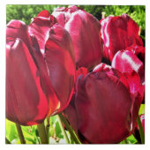 赤チューリップセラミックタイル タイル (正面)